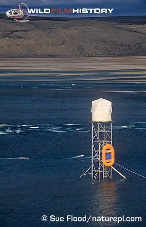 Scaffold tower for filming beluga whales for Blue Planet