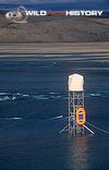 Scaffold tower for filming beluga whales for Blue Planet