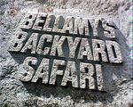 Bellamy's Backyard Safari : Down the Garden Path: The wonders of nature in your back garden