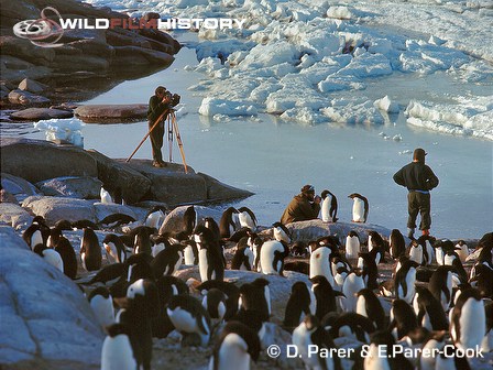 David Parer filming for Antarctic Winter