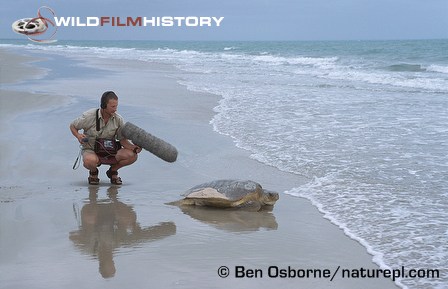 Ben Osborne recording the sound of a flatback turtle returning to sea for The Blue Planet